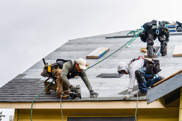 Professional Roof Inspection technician working in Hadley, MI